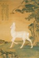 Lang ciervo blanco brillante tinta china antigua Ciervo Giuseppe Castiglione